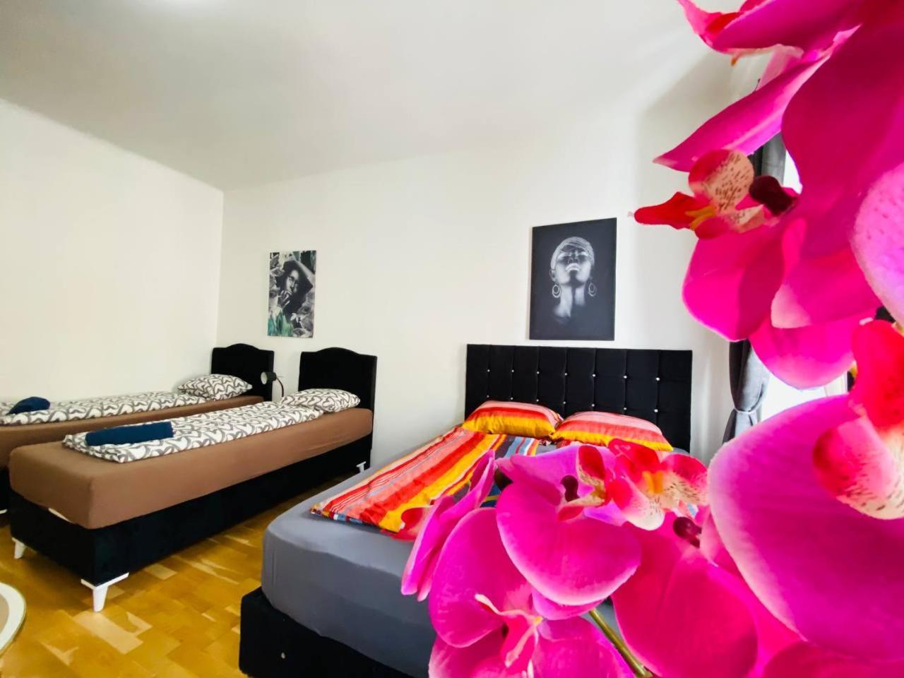 Deluxe Studio In Josefstaedter Strasse Area Daire Viyana Dış mekan fotoğraf