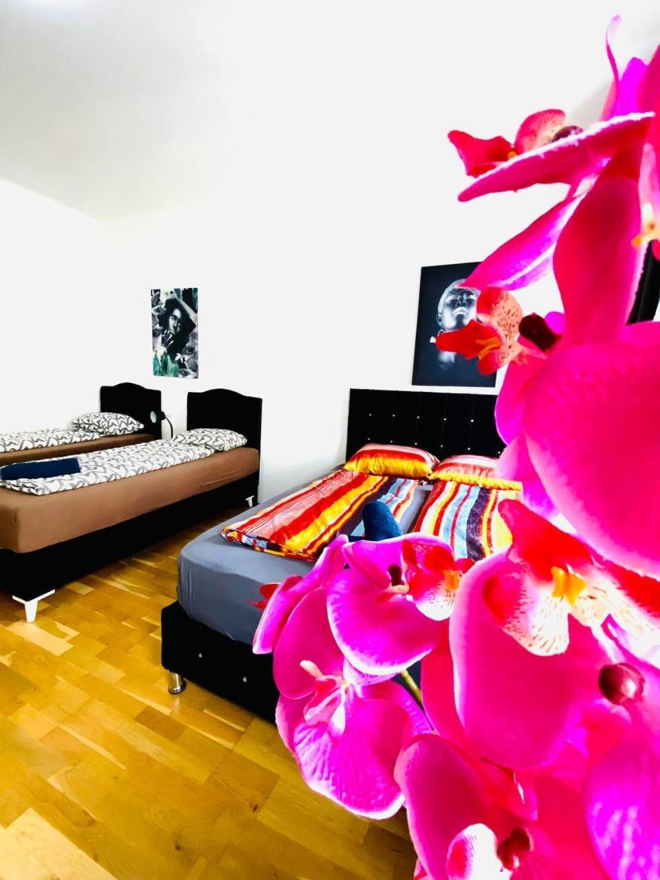 Deluxe Studio In Josefstaedter Strasse Area Daire Viyana Dış mekan fotoğraf